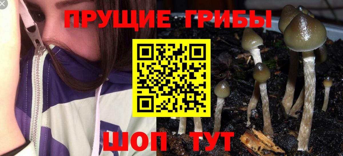 Галлюциногенные грибы MAGIC MUSHROOMS  Вход с VPN  Минусинск  даркнет сайт  Псилоцибиновые грибы мицелий 